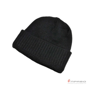 Шапка зимняя трикотажная чёрная. Артикул: Гол202. #REGION_MIN_PRICE# в г. Санкт-Петербург