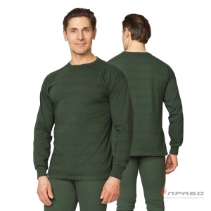 Бельё трикотажное оливковое, 180 г/м² (фуфайка и кальсоны). Артикул: Трик204. #REGION_MIN_PRICE#