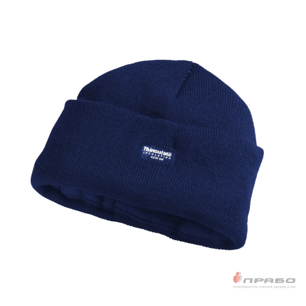 Шапка зимняя «Тинсулейт» универсальная трикотажная с подкладкой из флиса синяя. Артикул: Гол203. #REGION_MIN_PRICE# в г. Екатеринбург